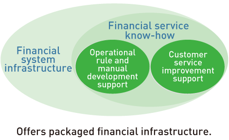 Offers packaged financial infrastructure.